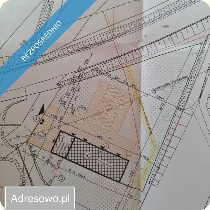 Działka inwestycyjna Szalejów Górny. Zdjęcie 5