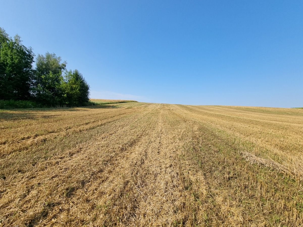 Działka budowlana Oborniki Śląskie, ul. Wolności. Zdjęcie 11