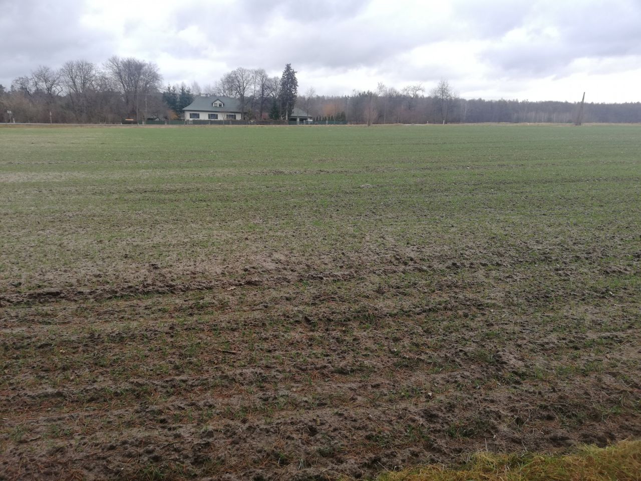 Działka rolno-budowlana Gościeradów-Folwark. Zdjęcie 3