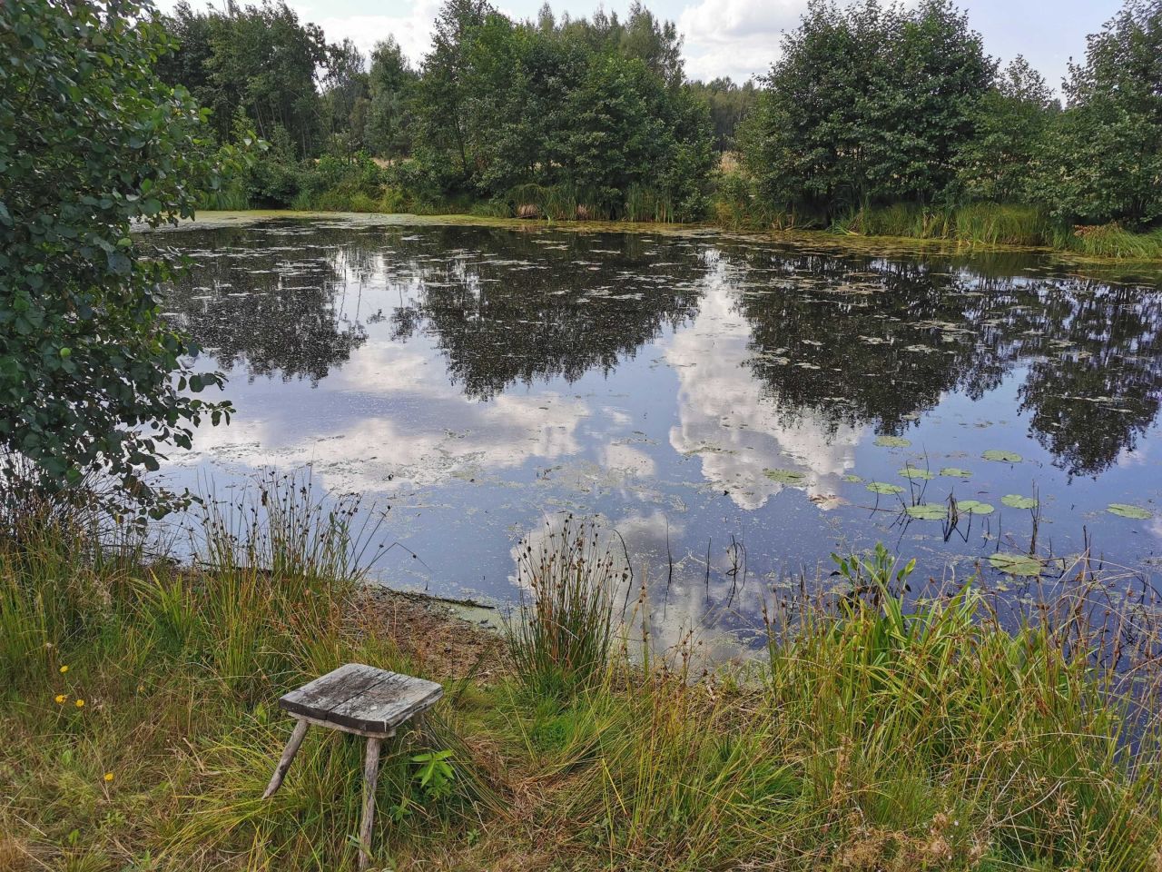 Działka budowlana Strękowizna. Zdjęcie 4