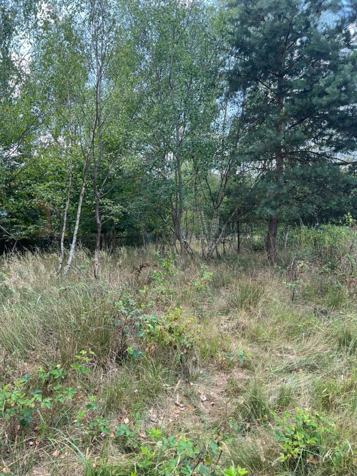 Działka budowlana Nowa Schodnia, ul. Opolska. Zdjęcie 5