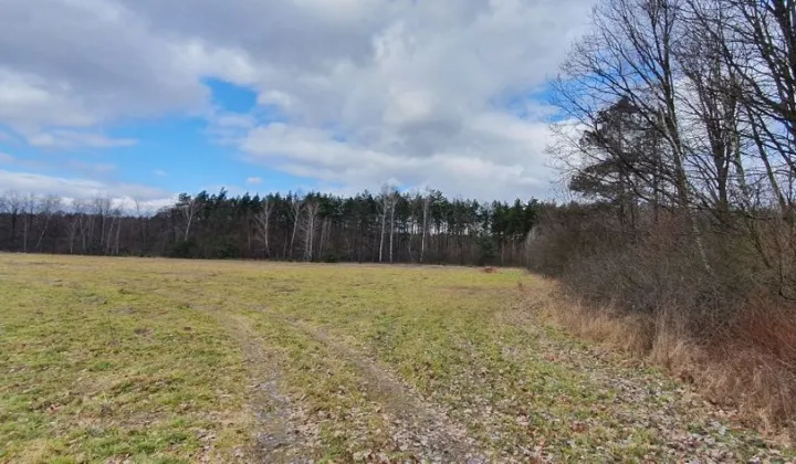 Działka inwestycyjna Rasztów, ul. Diamentowa