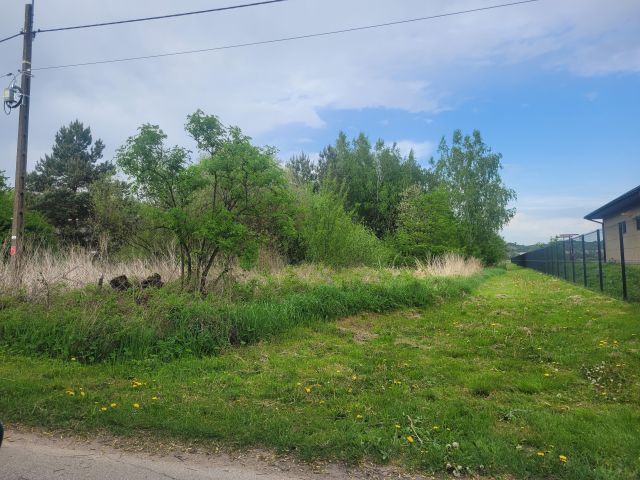 Działka budowlana Skrzypiów. Zdjęcie 1