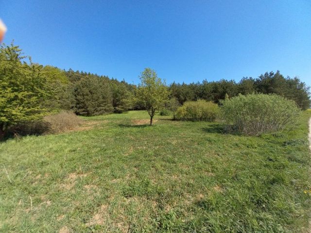 Działka siedliskowa Nowy Targ. Zdjęcie 1