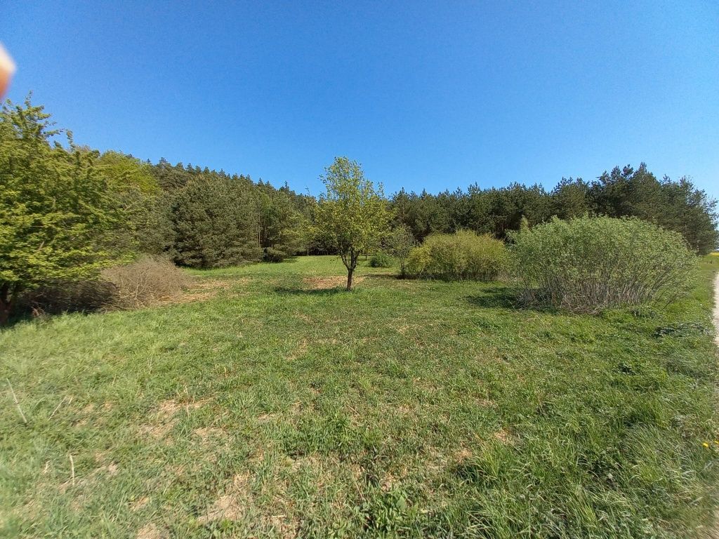 Działka siedliskowa Nowy Targ. Zdjęcie 1