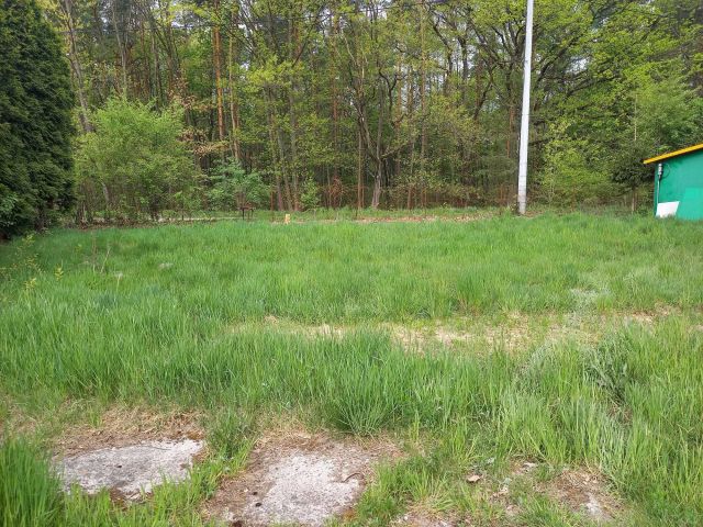 Działka rekreacyjna Wierzchosławice Dwudniaki. Zdjęcie 1