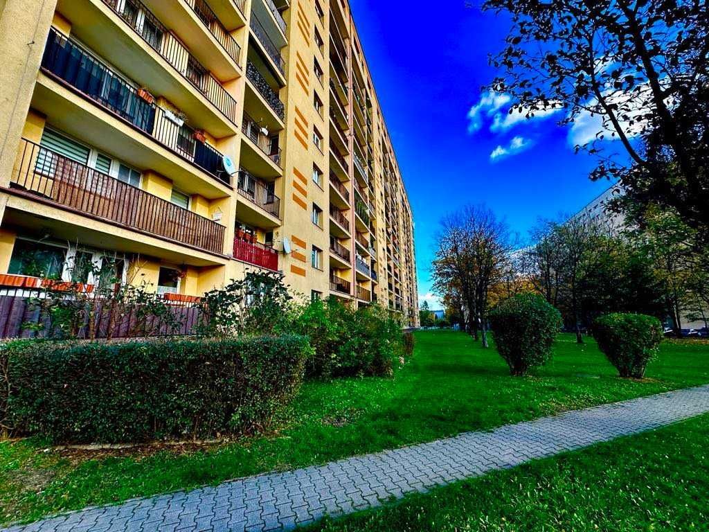 Mieszkanie 2-pokojowe Bytom Miechowice, ul. Alojzego Felińskiego