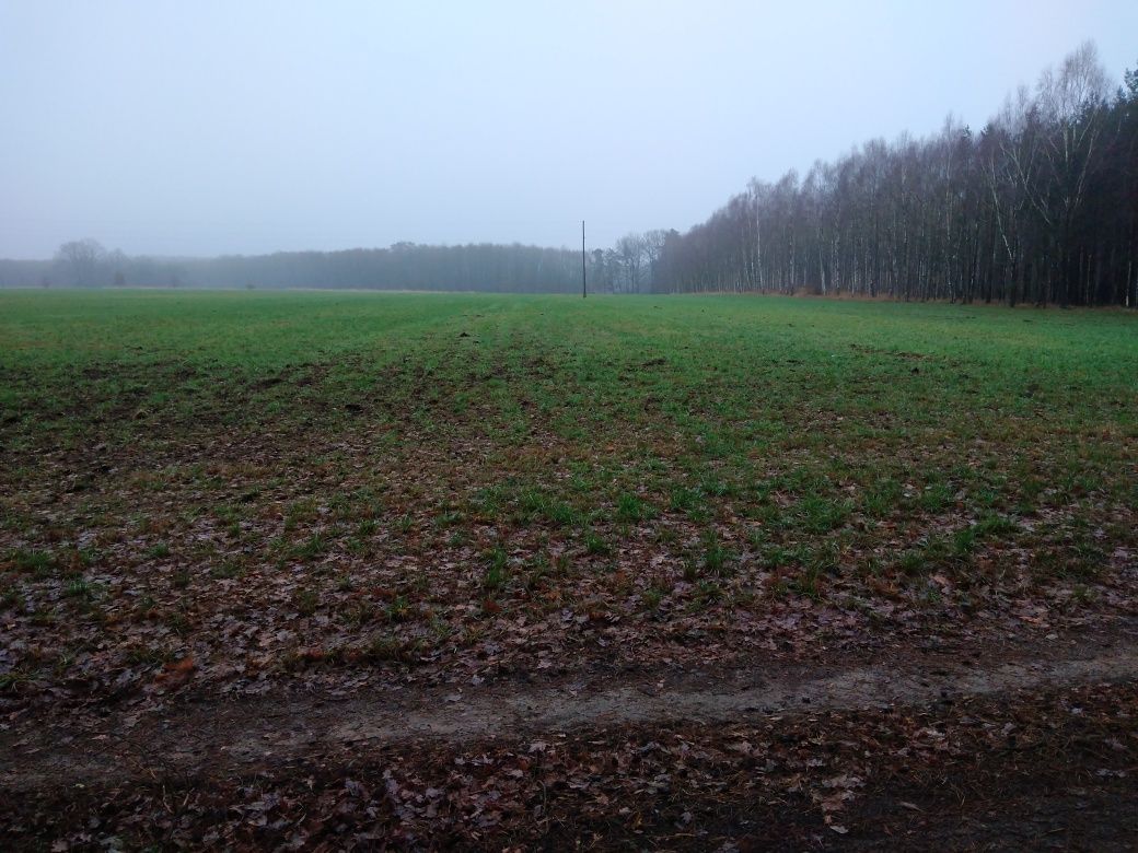 Działka siedliskowa Ciszkowo. Zdjęcie 7