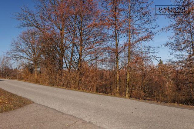 Działka budowlana Dąbrówka Szczepanowska. Zdjęcie 8