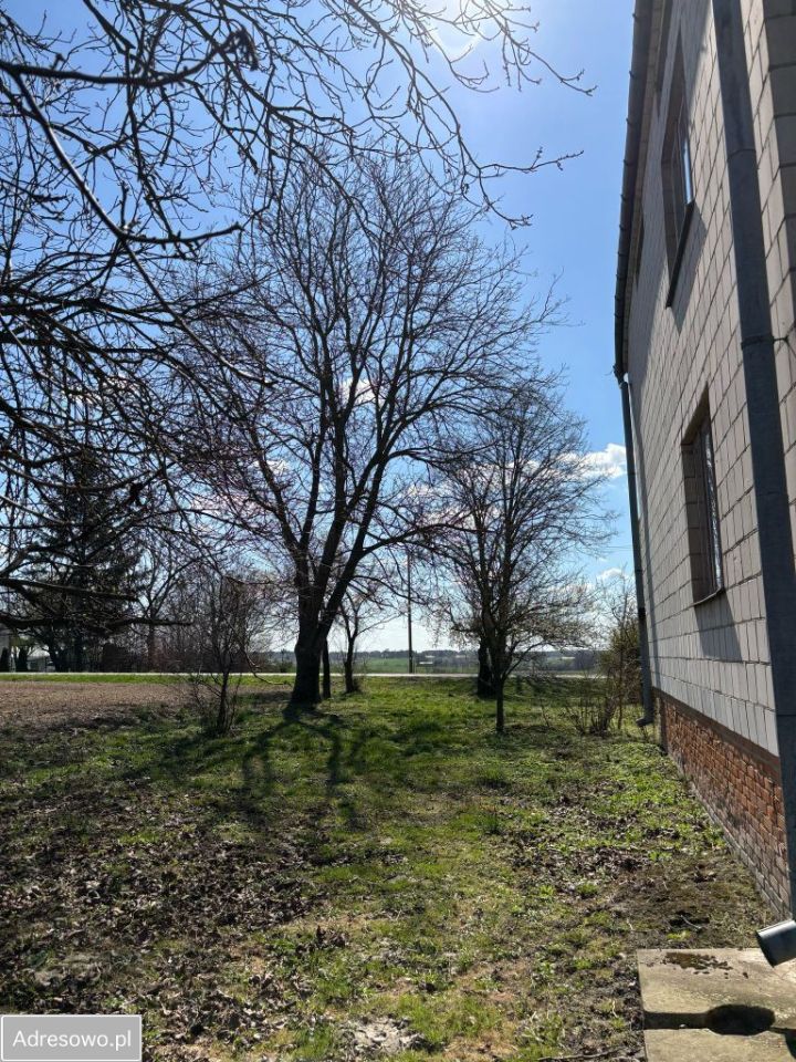 dom wolnostojący, 6 pokoi Miętkie-Kolonia. Zdjęcie 3