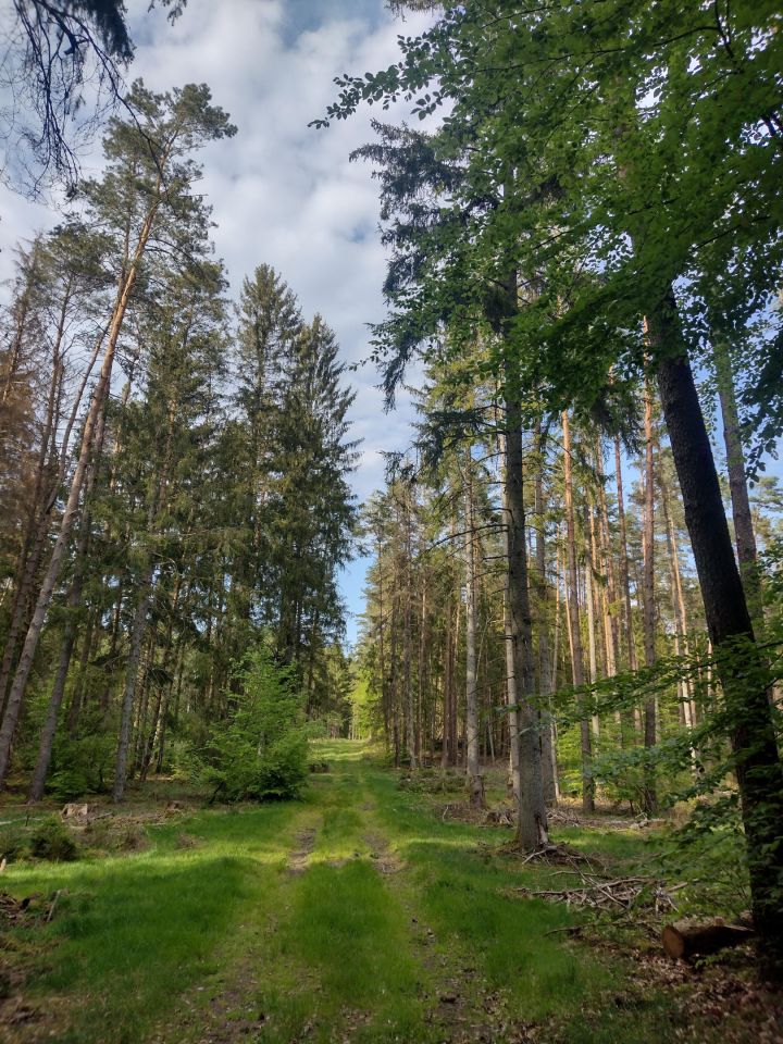 Mieszkanie 2-pokojowe Mostowo. Zdjęcie 20