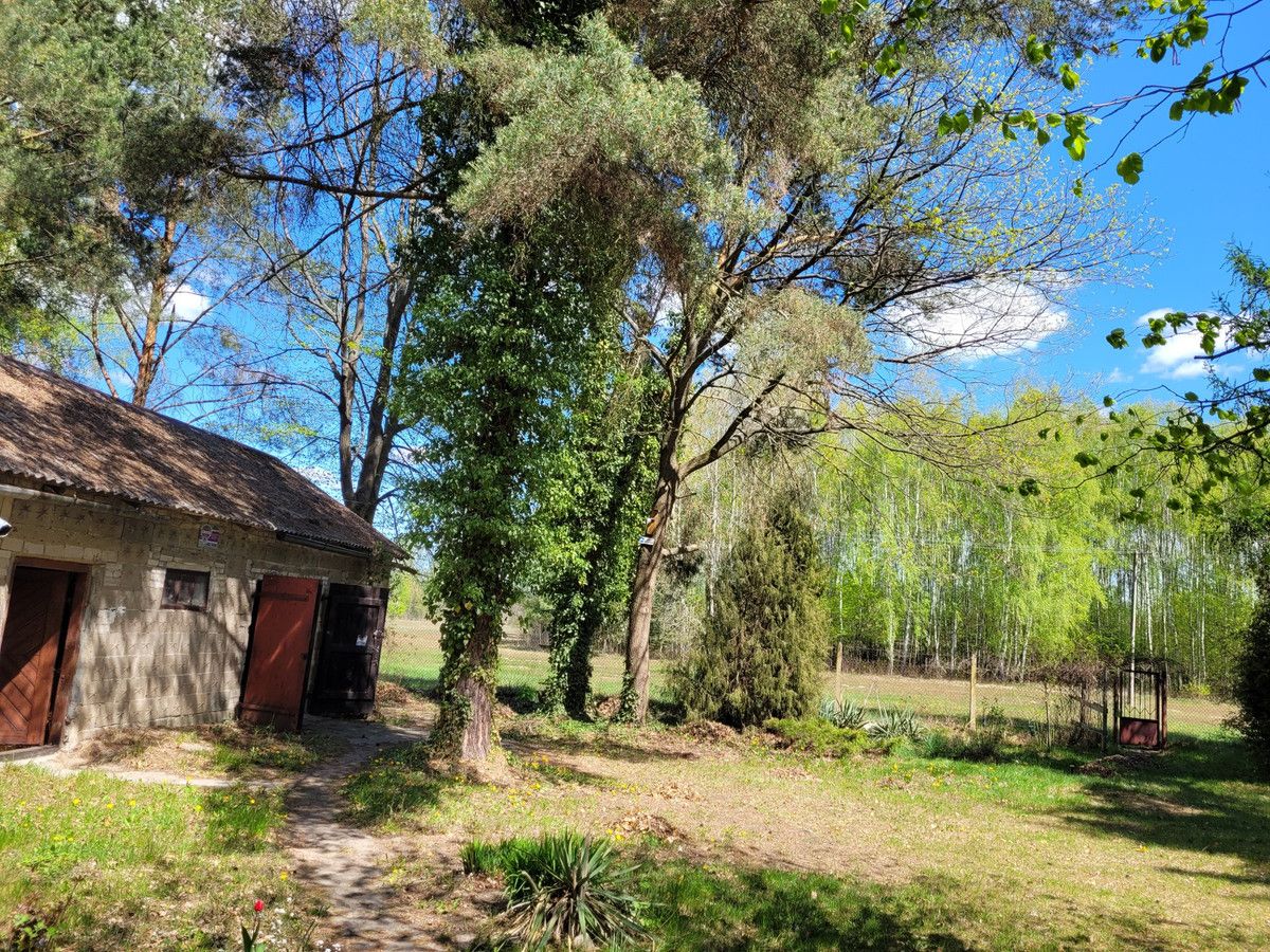 siedlisko Zaręby, ul. Kuropatwy. Zdjęcie 15