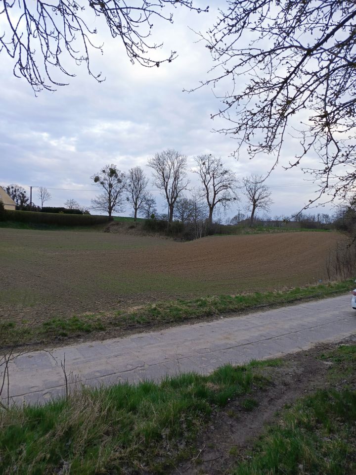 Działka budowlana Salno, Salno. Zdjęcie 2