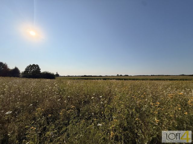 Działka rolna Mędrzechów. Zdjęcie 12
