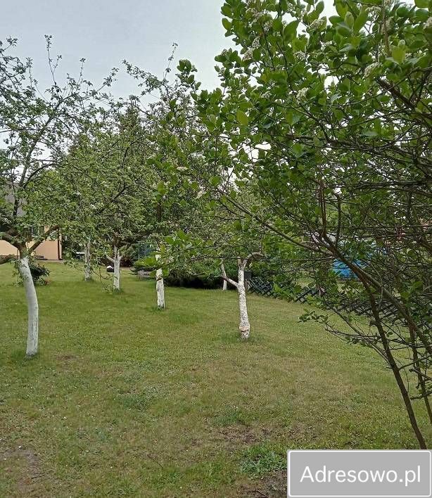 dom wolnostojący, 3 pokoje Tabor. Zdjęcie 4