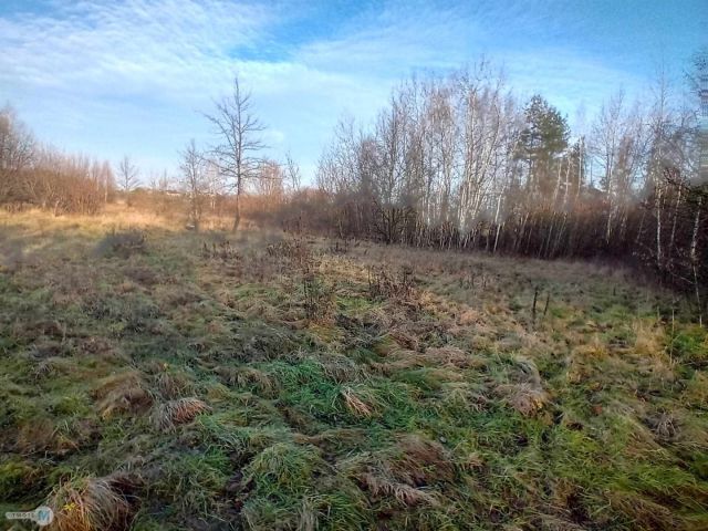 Działka inwestycyjna Daleszyce. Zdjęcie 9