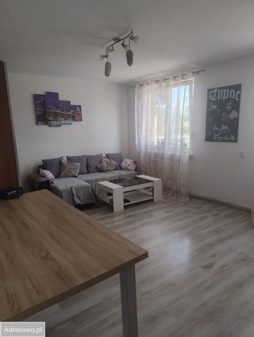 Mieszkanie 2-pokojowe Łąka. Zdjęcie 1