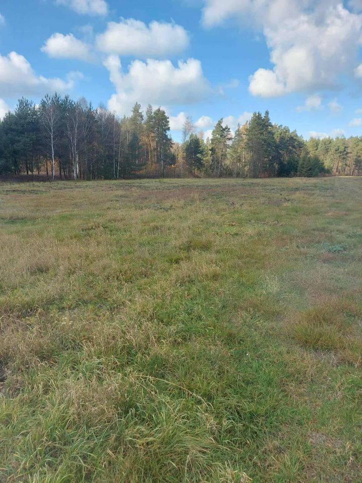 Działka inna Chotowa. Zdjęcie 4