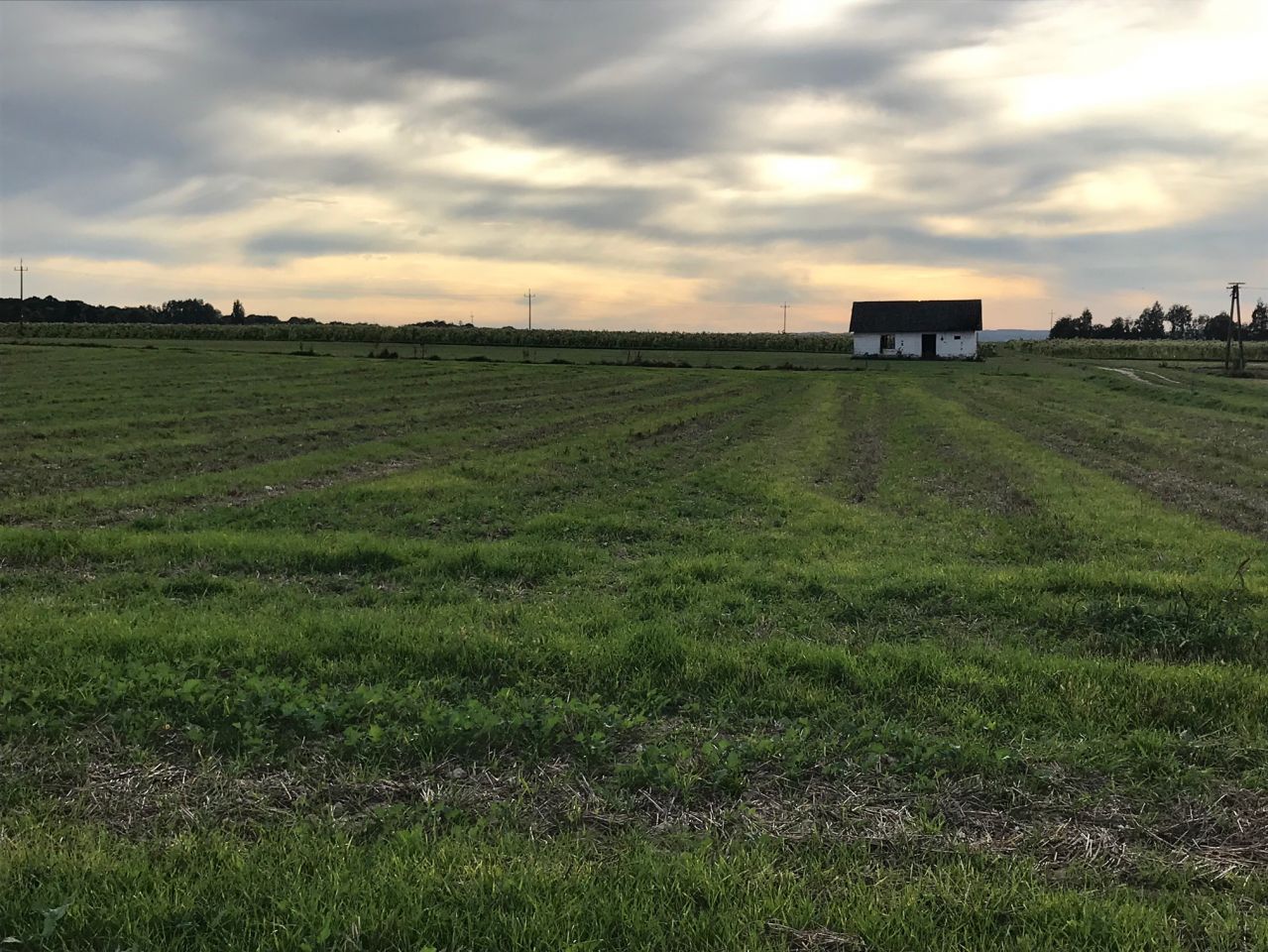 Działka rolna Michalów Pałac, ul. Zielona. Zdjęcie 3