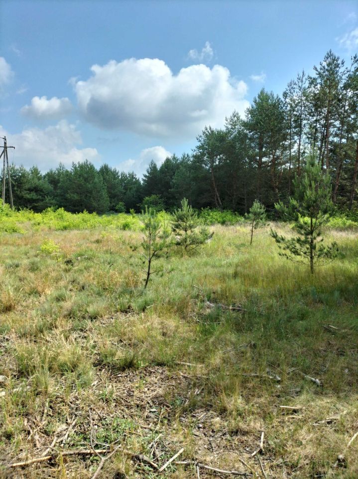 Działka rekreacyjna Chorzele. Zdjęcie 8