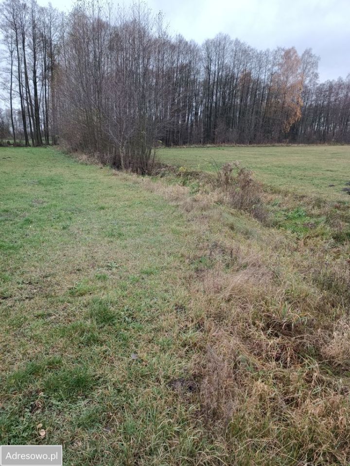 Działka rolna Filochy. Zdjęcie 9