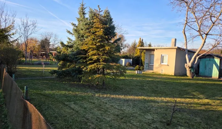 Działka rod Ostrów Wielkopolski, ul. Wrocławska