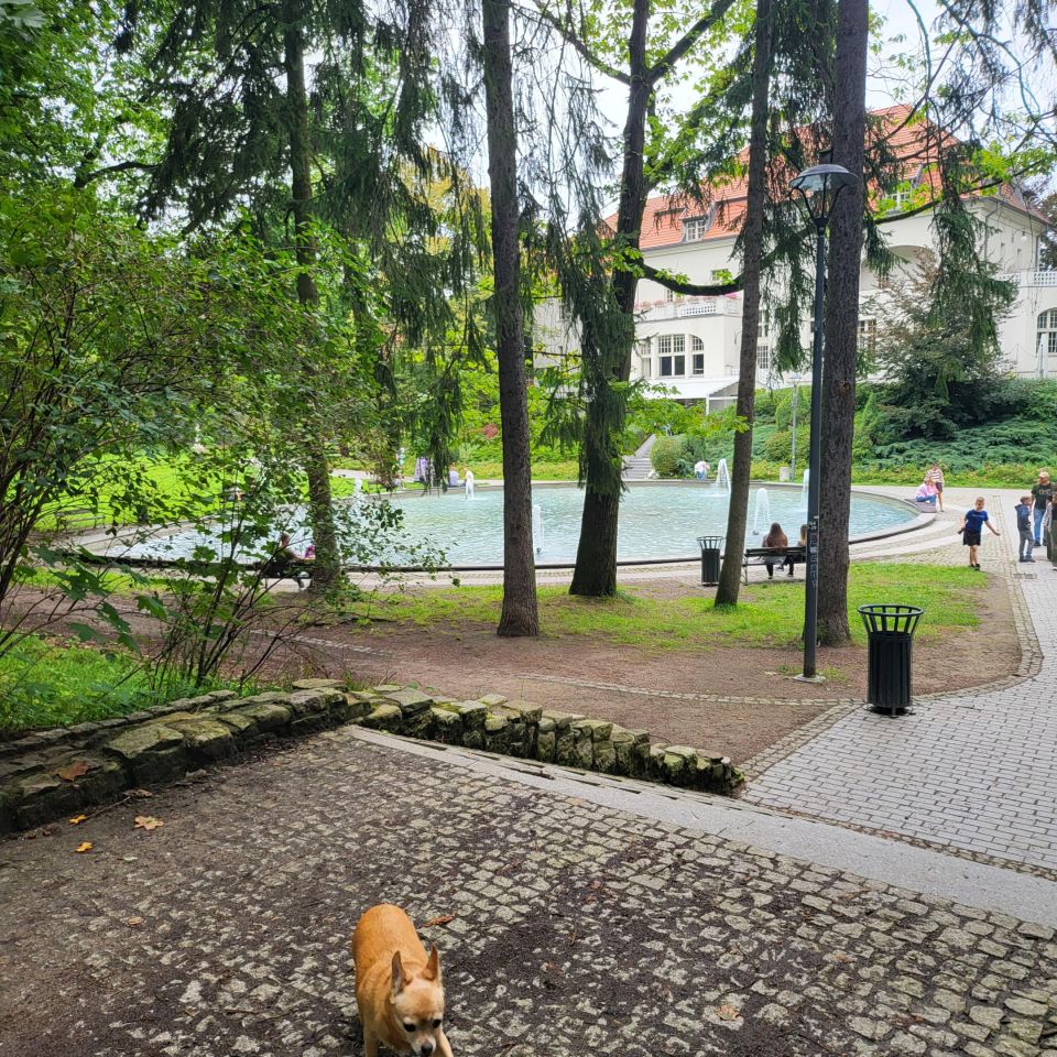 Mieszkanie 2-pokojowe Olsztyn Śródmieście, ul. Grunwaldzka. Zdjęcie 6