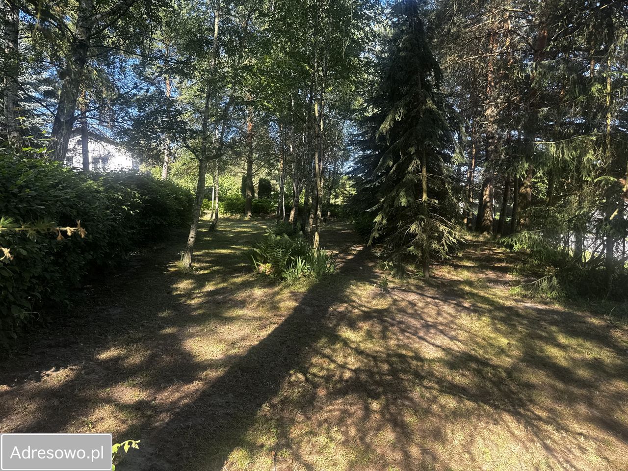 dworek, 10 pokoi Policzyzna. Zdjęcie 8