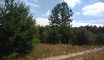 Działka rolno-budowlana Wójcin