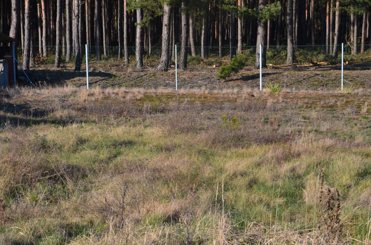 Działka rekreacyjna Tarnów Jezierny, ul. Leśna