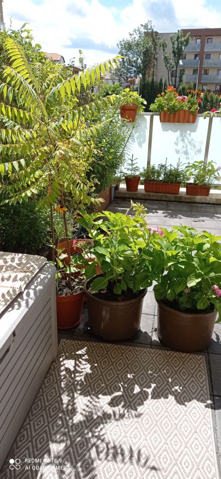 Mieszkanie 2-pokojowe Kraków Bieżanów, ul. Agatowa. Zdjęcie 12