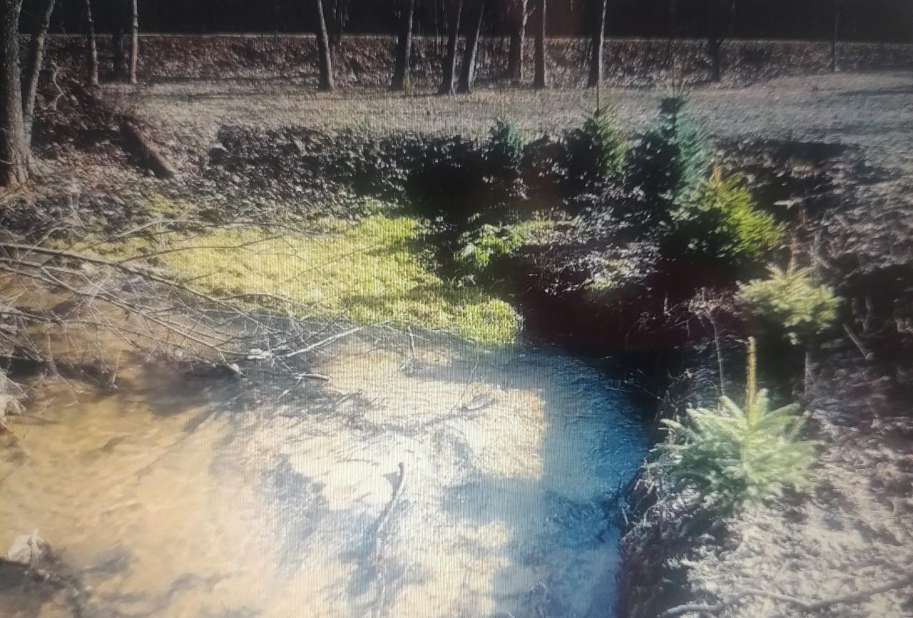 Działka rolno-budowlana Zawiercie Borowe Pole, ul. Oświatowa. Zdjęcie 9