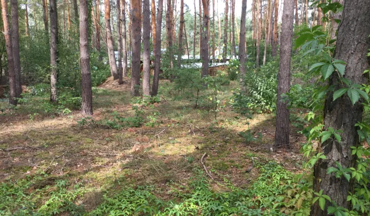 Działka budowlana Nowe Załubice, ul. Wiolinowa