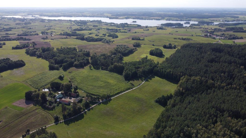 Działka budowlana Dobra Wola. Zdjęcie 3