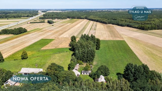 Działka siedliskowa Stefanów Ruszkowski. Zdjęcie 14