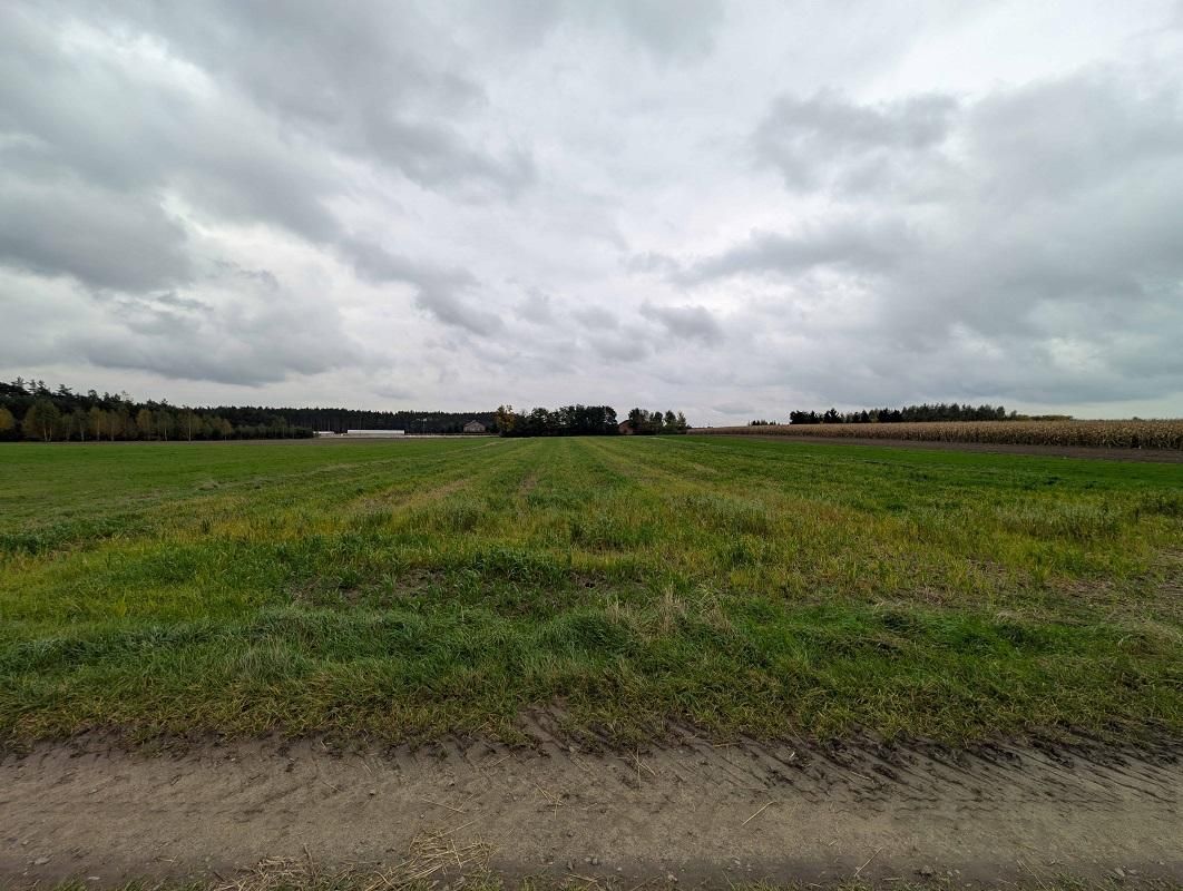 Działka rolna Nadzież. Zdjęcie 2