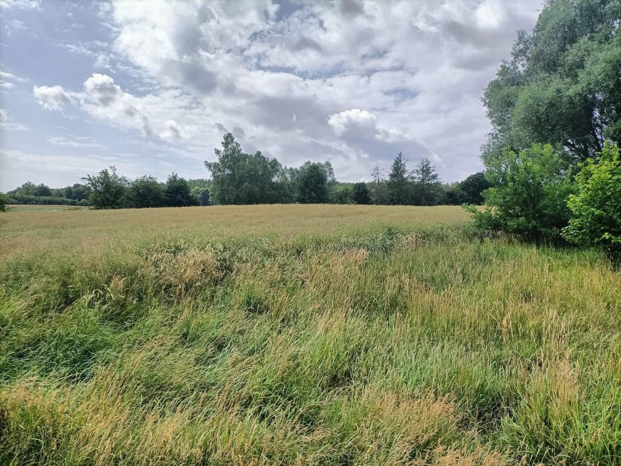 Działka budowlana Cieszeniewo. Zdjęcie 7