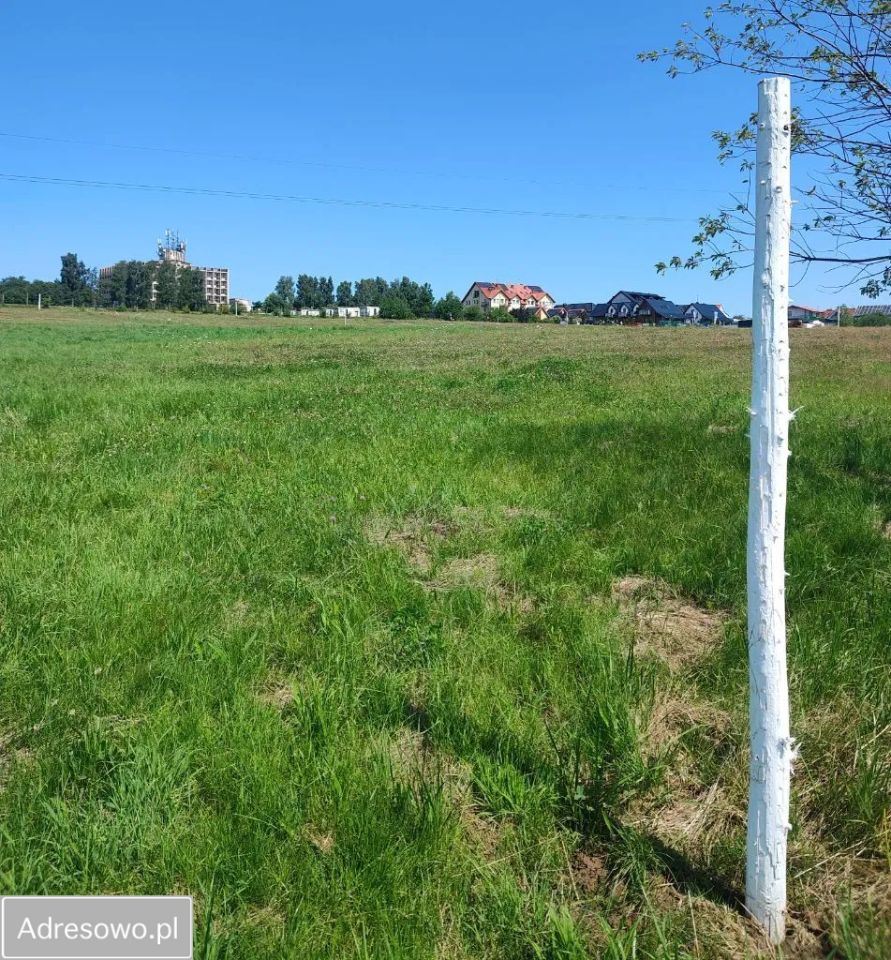 Działka budowlana Jastrzębia Góra. Zdjęcie 7
