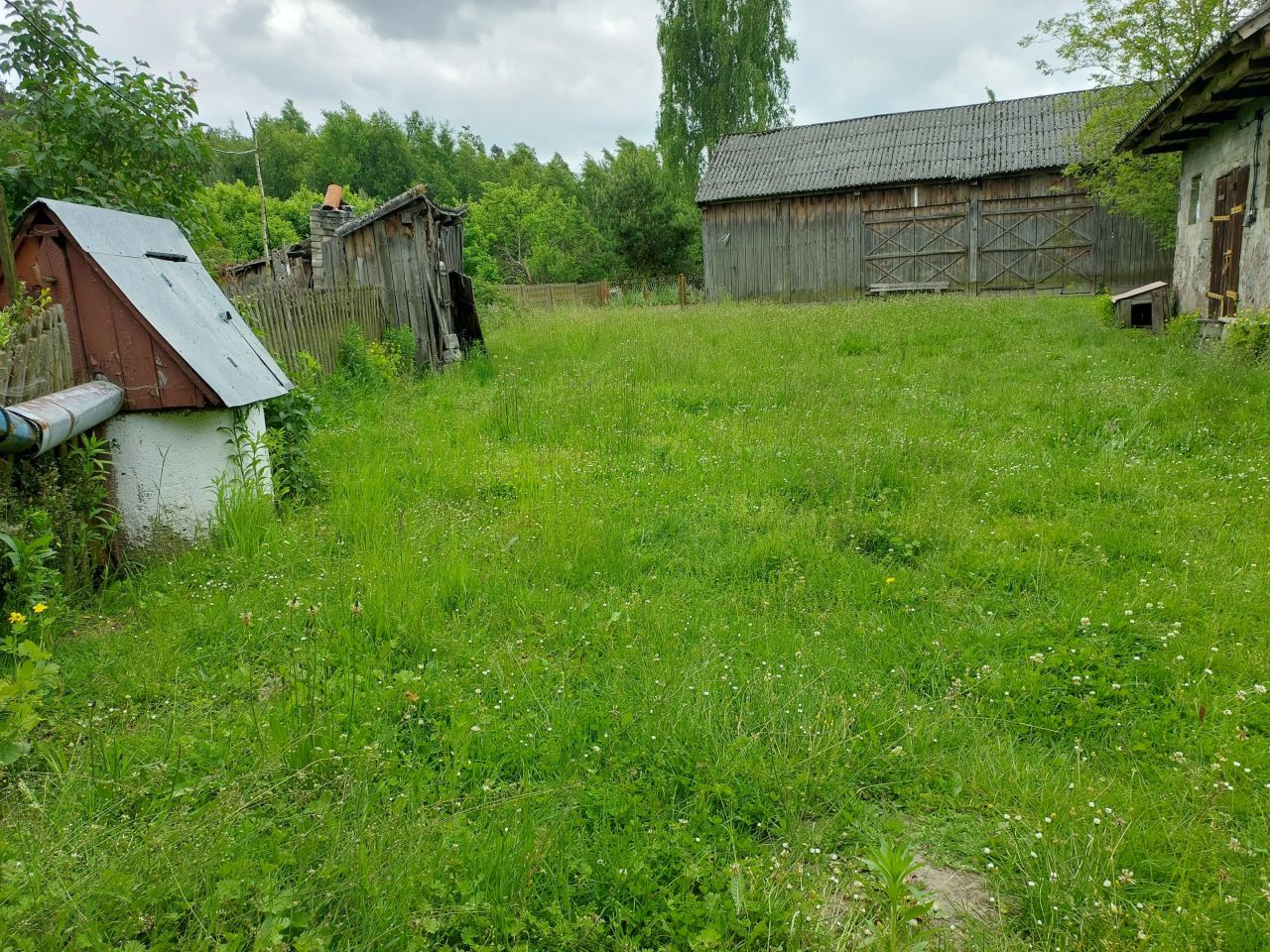 Działka rolno-budowlana Dębiny-Kolonia. Zdjęcie 13