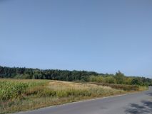 Działka inwestycyjna Skowieszyn, ul. Puławska. Zdjęcie 4