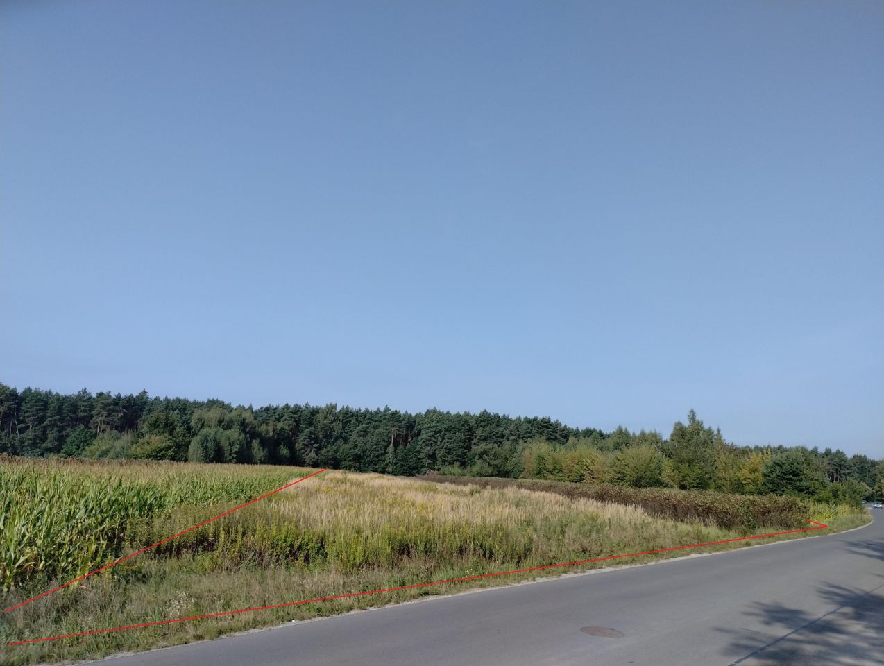 Działka inwestycyjna Skowieszyn, ul. Puławska. Zdjęcie 5