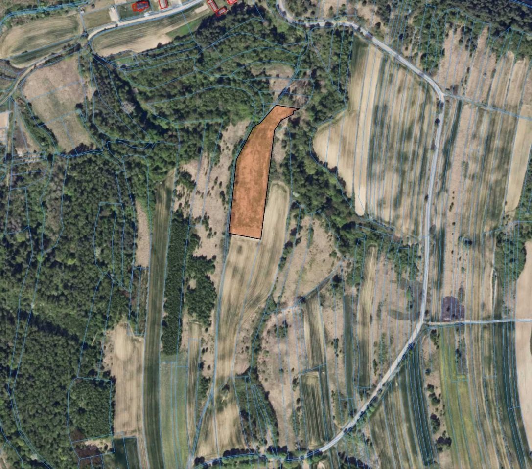 Działka rolna Kunów, ul. Kaznodziejska. Zdjęcie 5