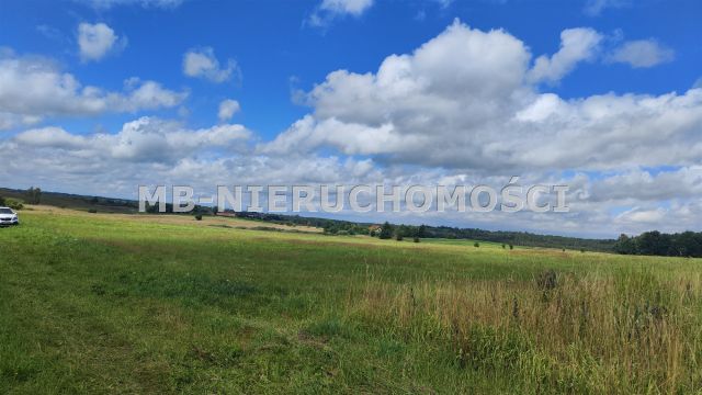 Działka rolna Żardeniki. Zdjęcie 1