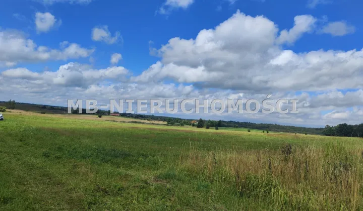 Działka rolna Żardeniki