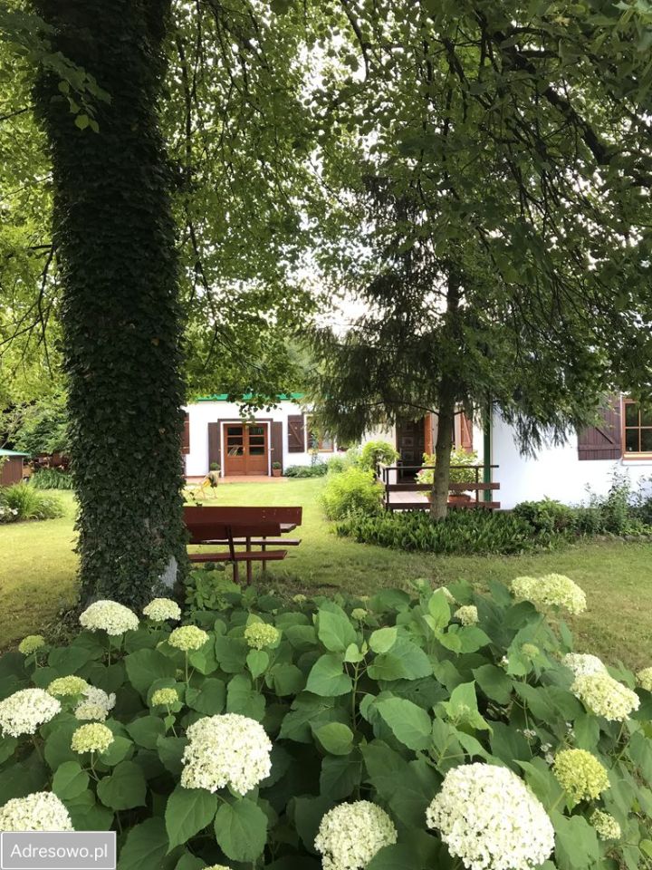 Działka budowlana Nosy-Poniatki. Zdjęcie 4