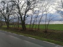 Działka budowlana Wronki. Zdjęcie 3