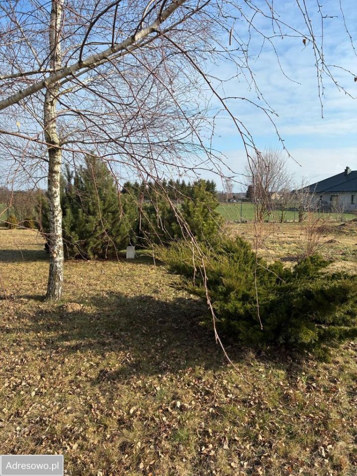 Działka rolno-budowlana Osmolice Pierwsze. Zdjęcie 4