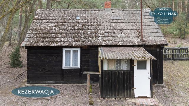 Działka leśna Kije. Zdjęcie 29