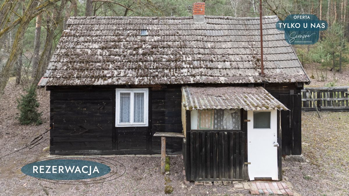 Działka leśna Kije. Zdjęcie 29