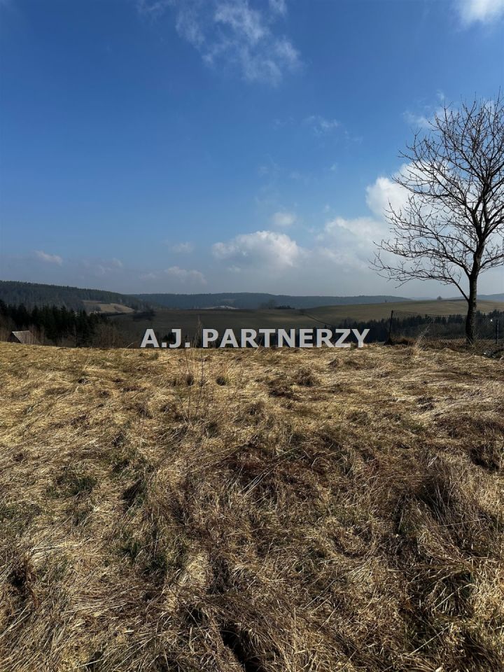 Działka rolna Berest. Zdjęcie 7